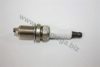 AUTOMEGA 1212140000 Spark Plug